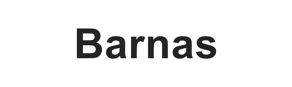 Текстовый логотип Barnas Текстовый логотип Barnas