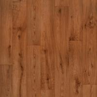 STRONG PLUS VERO 1161