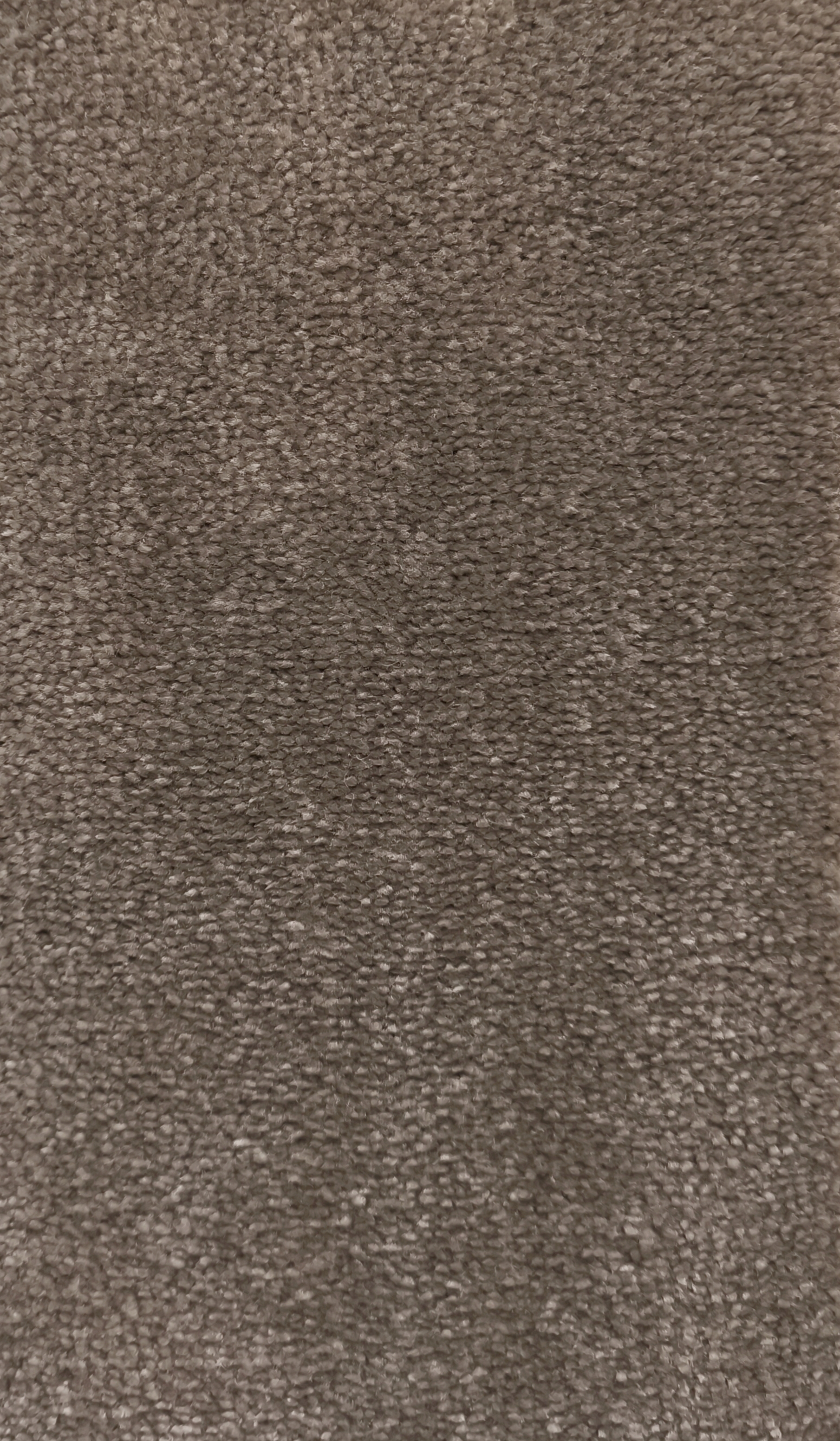 Ковролин D Bonkeel Delasso\Делассо Brown, 4 м, 22 кл. РР 1500