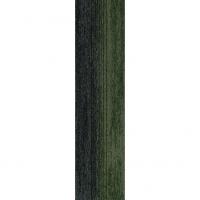 Rudiments Clay Create 699