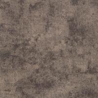 Graphite 43