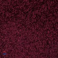Condor Princess 164004
