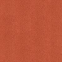 Interface Output Loop 4219015 Tangerine