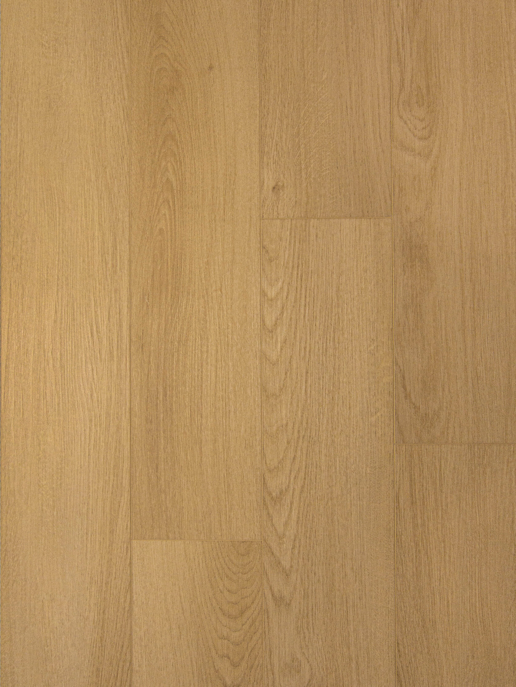 SPC CL Bonkeel Fine PL 260 5,0х150х1200 (1,8м2\10)