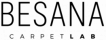 Официальный логотип Besana