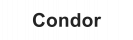 Текстовый логотип Condor