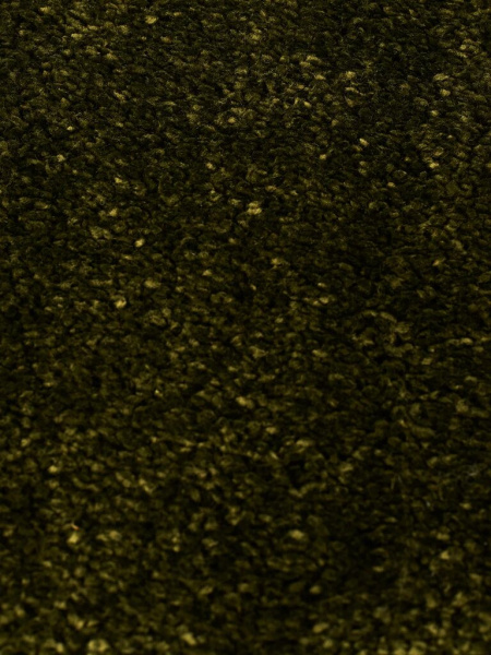 Ковролин D Bonkeel Devinity\Дивинити Green, 4 м, 22 кл. PP 1500